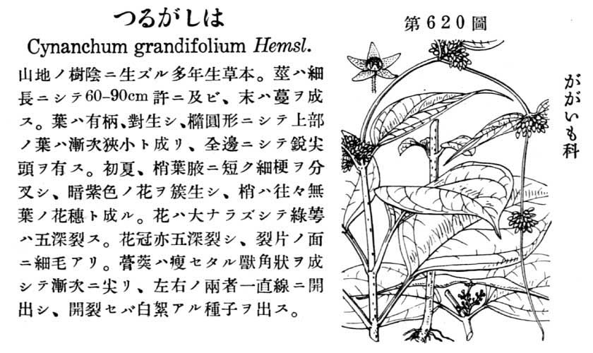 植物図鑑