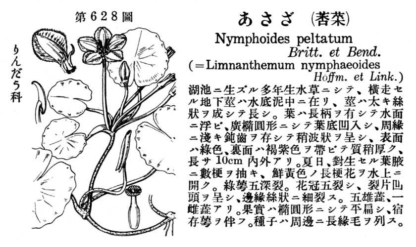 植物図鑑