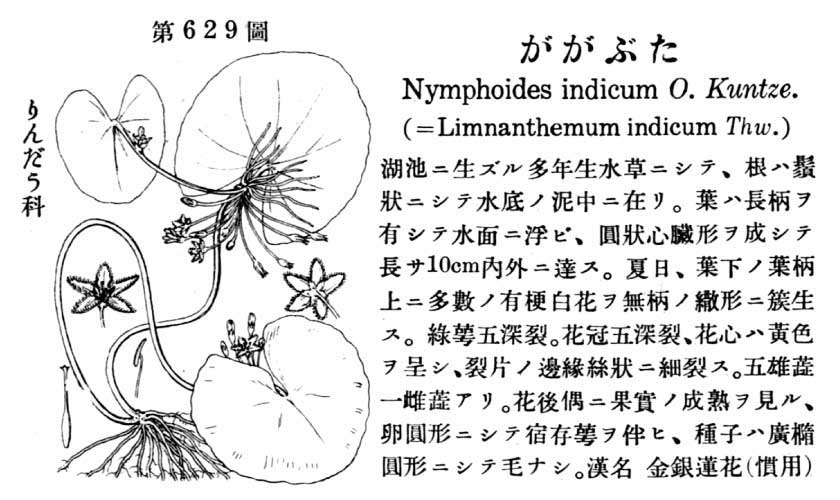 植物図鑑