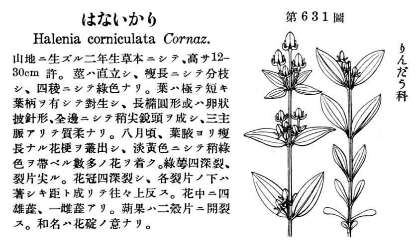 植物図鑑