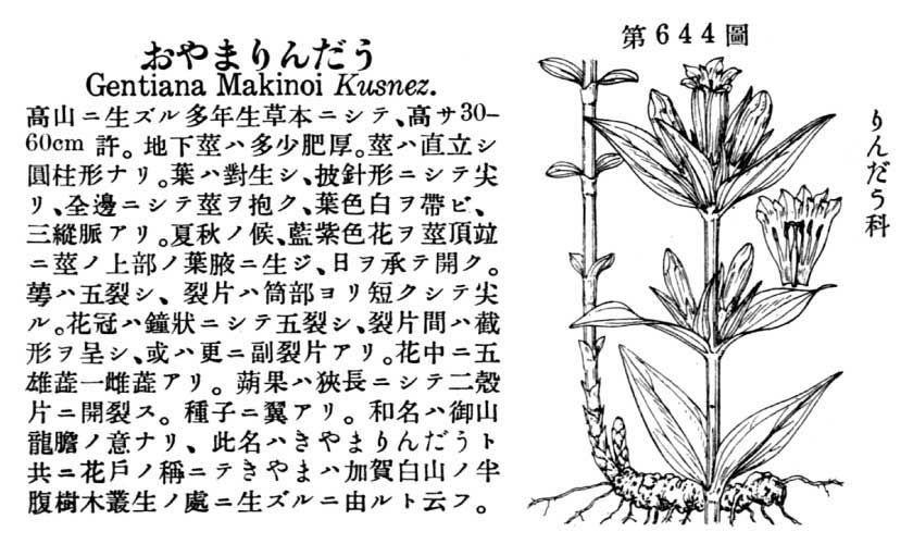 植物図鑑