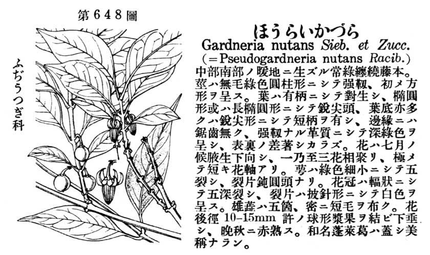 植物図鑑