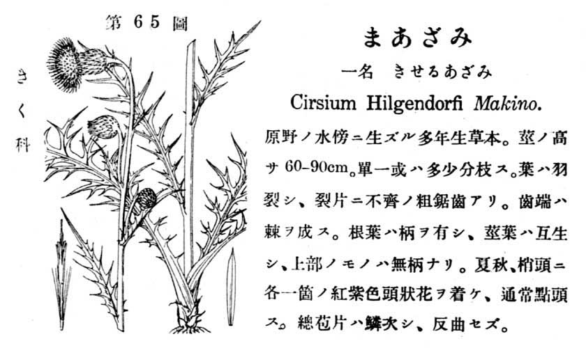 植物図鑑