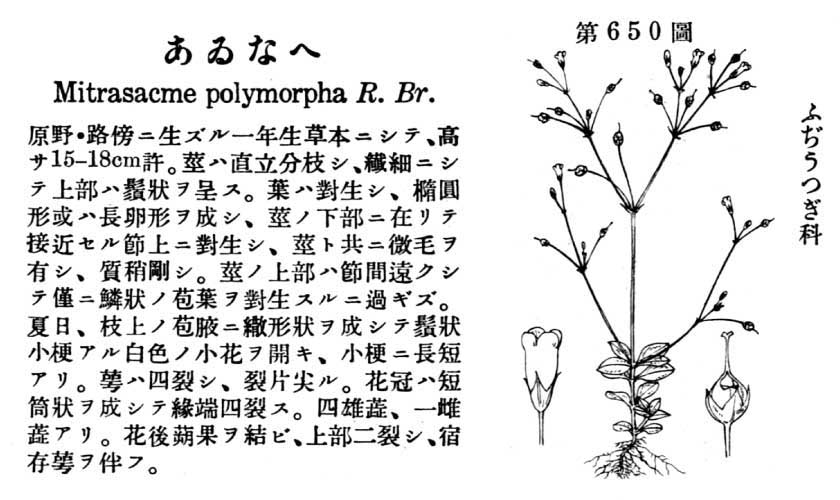 植物図鑑