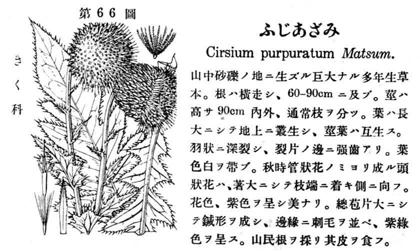 植物図鑑