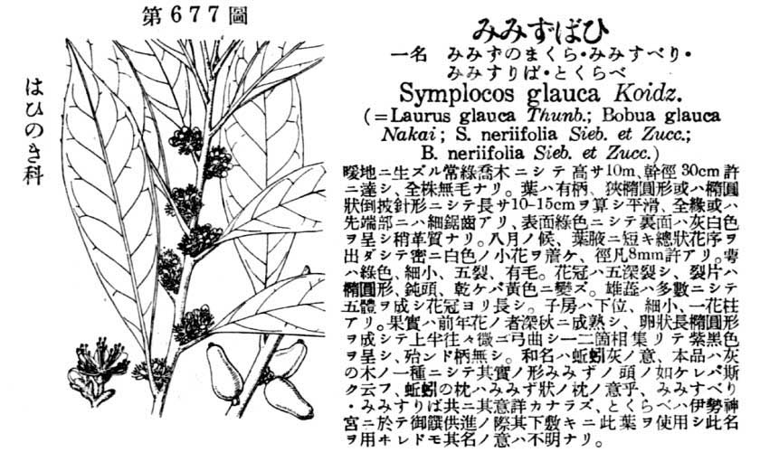 植物図鑑