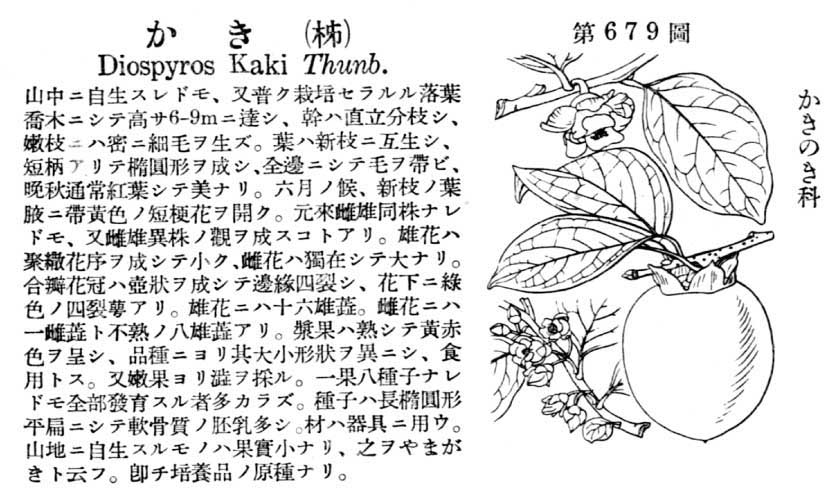 植物図鑑