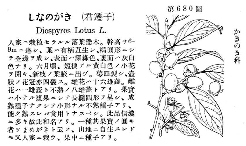 植物図鑑