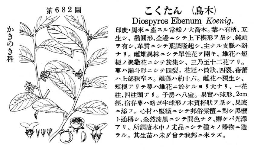 植物図鑑