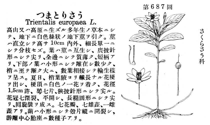 植物図鑑