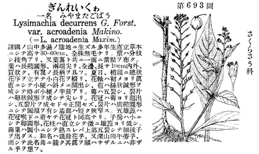 植物図鑑