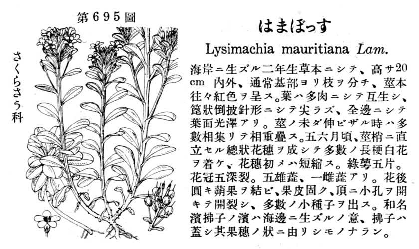 植物図鑑