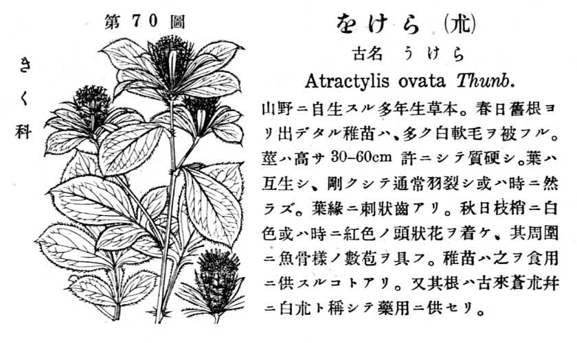 植物図鑑