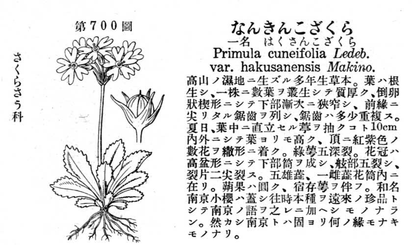 植物図鑑