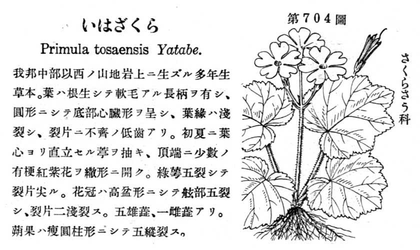 植物図鑑