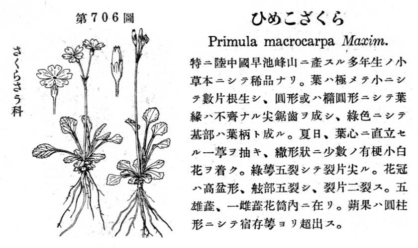 植物図鑑