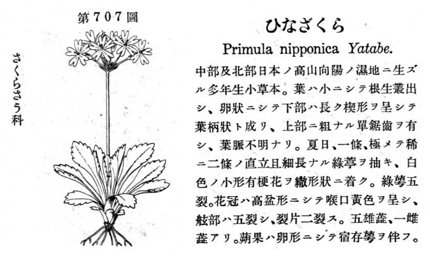 植物図鑑