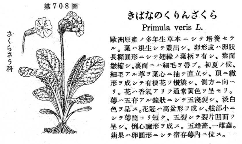 植物図鑑