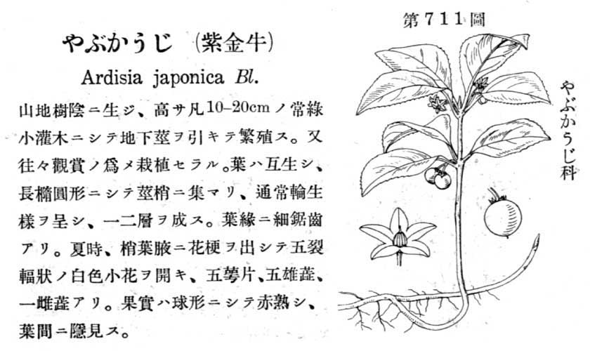 植物図鑑