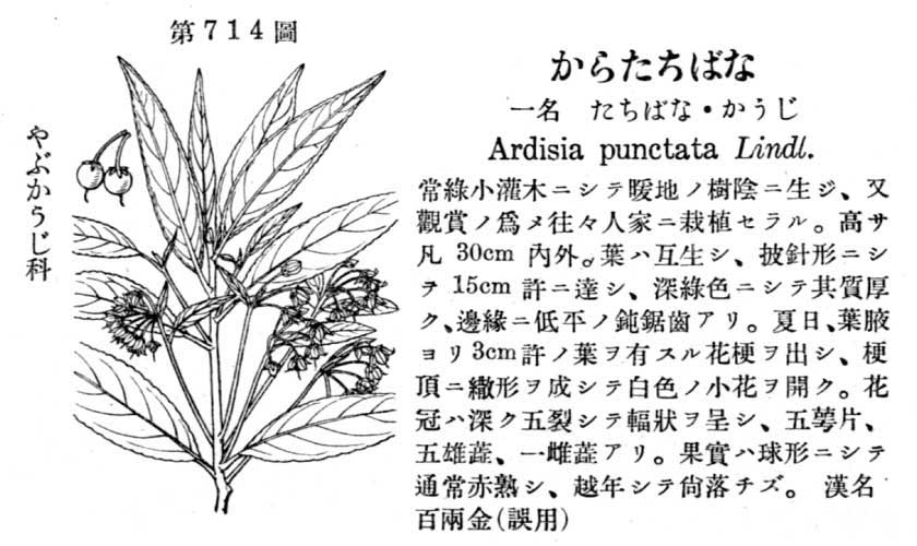 植物図鑑