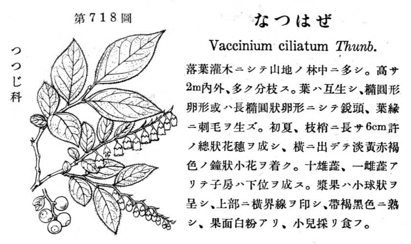 植物図鑑