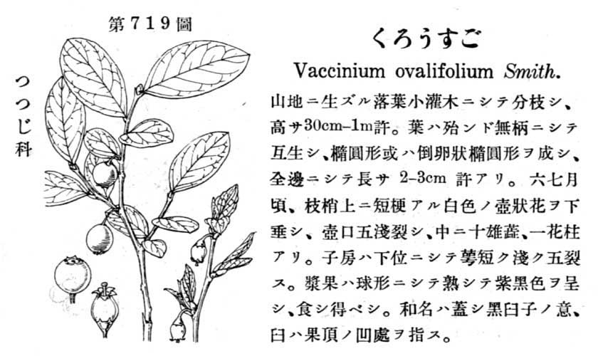 植物図鑑