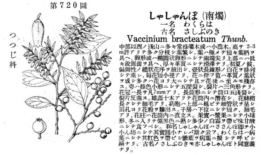 植物図鑑