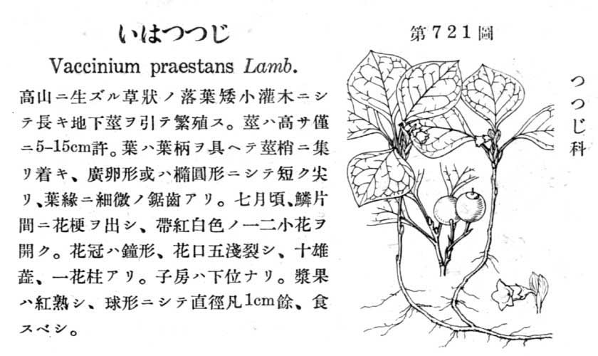 植物図鑑