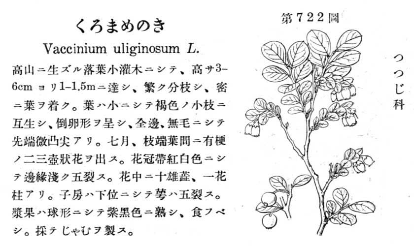 植物図鑑