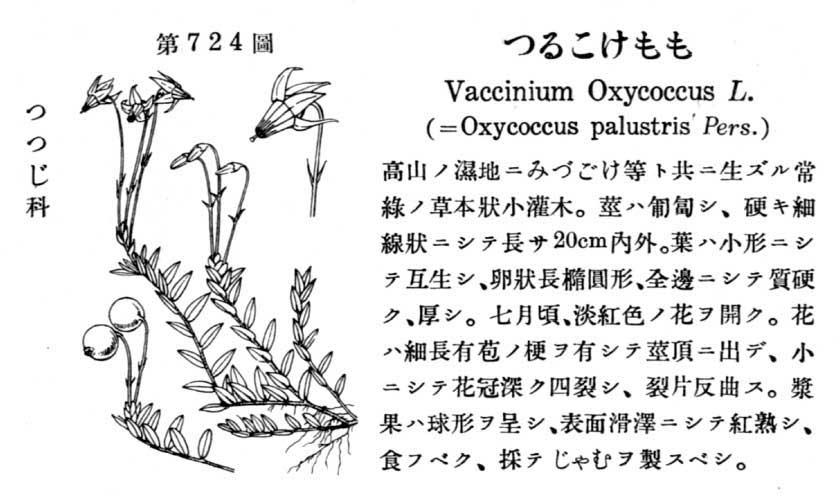 植物図鑑