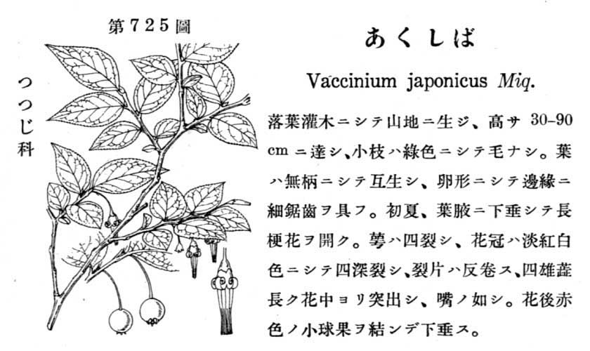 植物図鑑