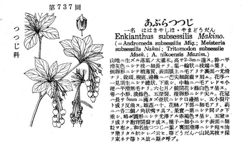 植物図鑑