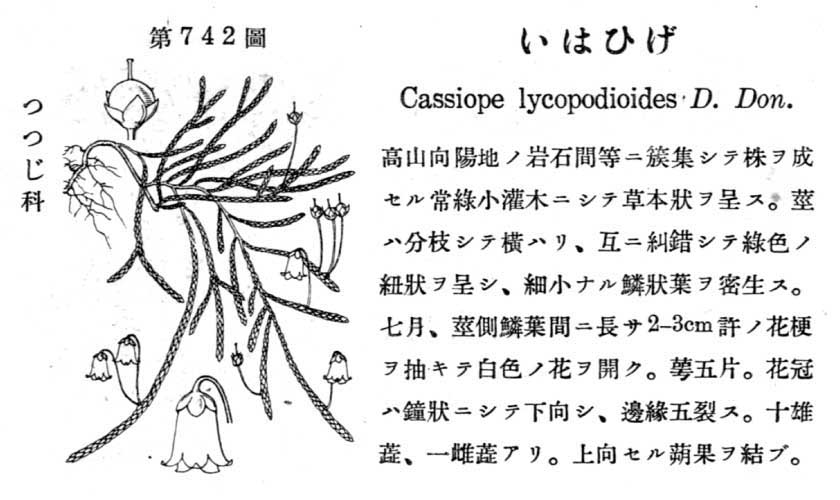 植物図鑑