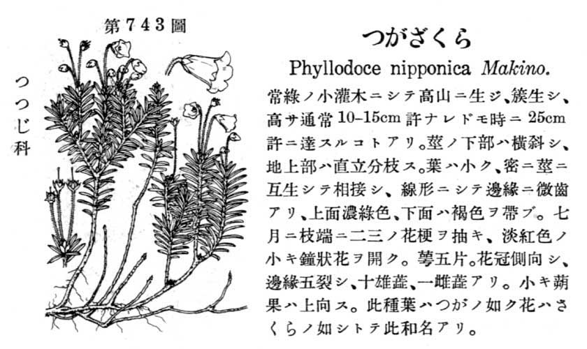 植物図鑑