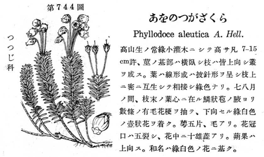 植物図鑑