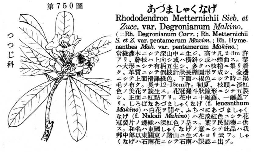 植物図鑑