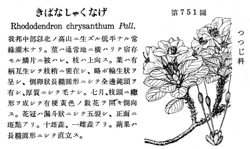 植物図鑑