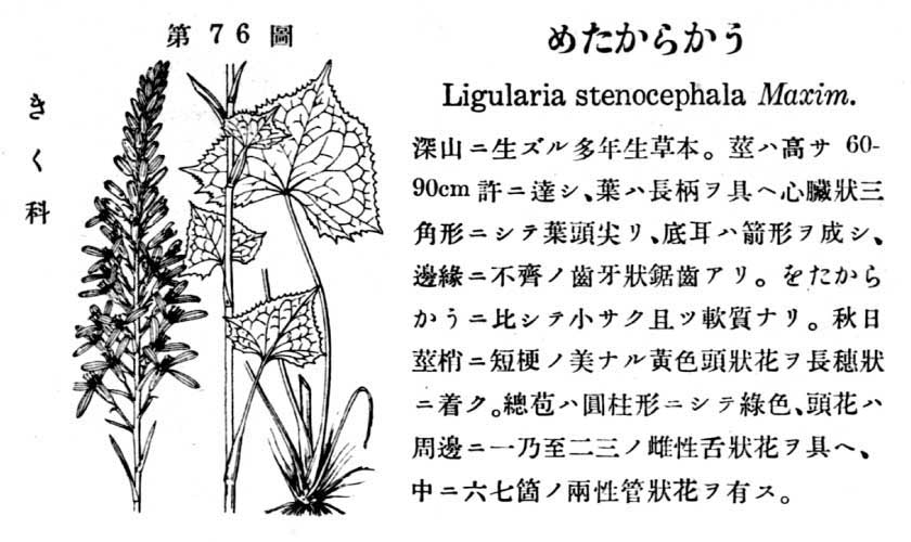 植物図鑑