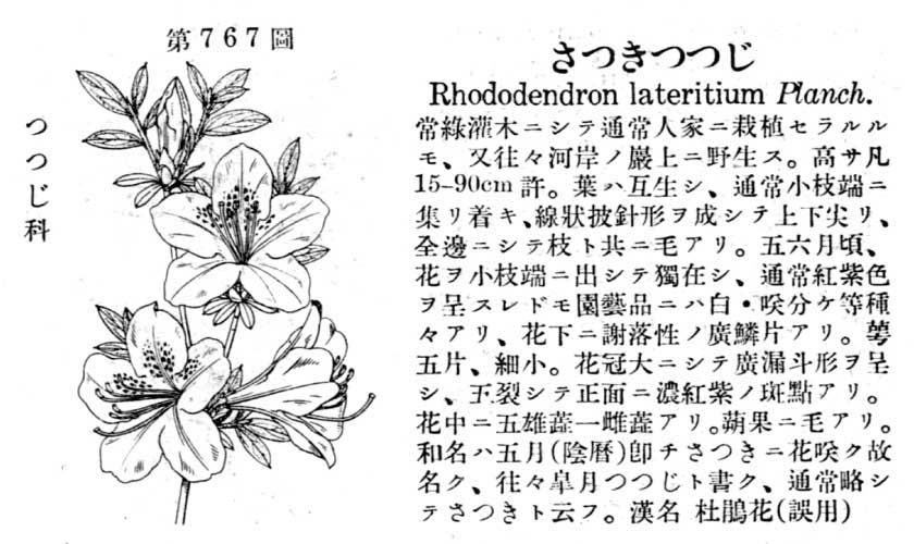 植物図鑑