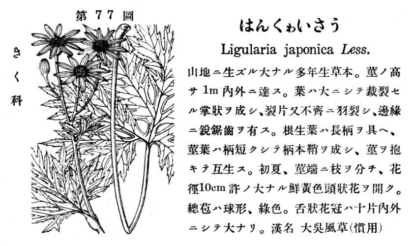 植物図鑑