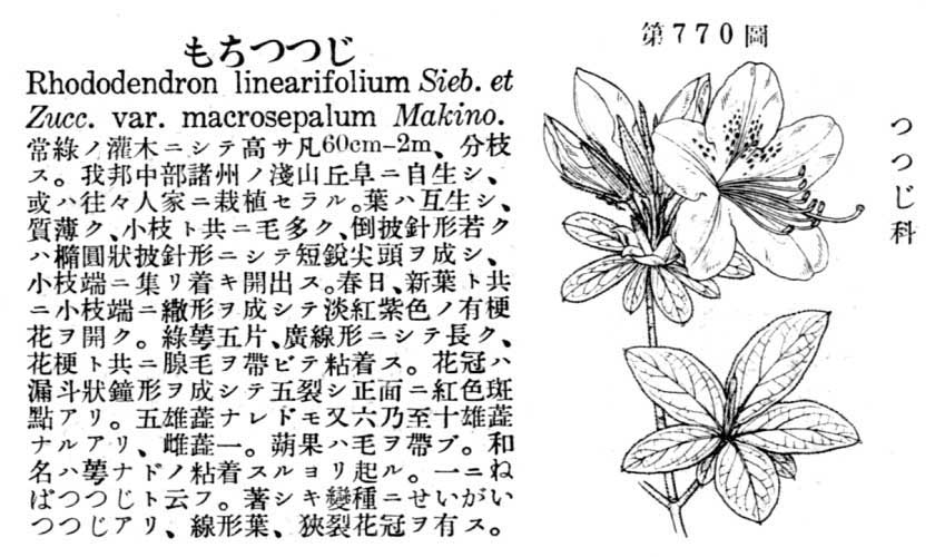 植物図鑑