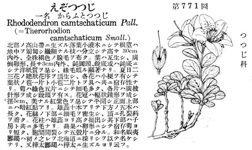 植物図鑑