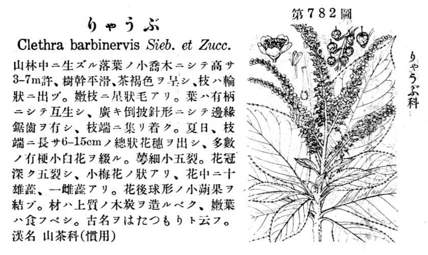 植物図鑑