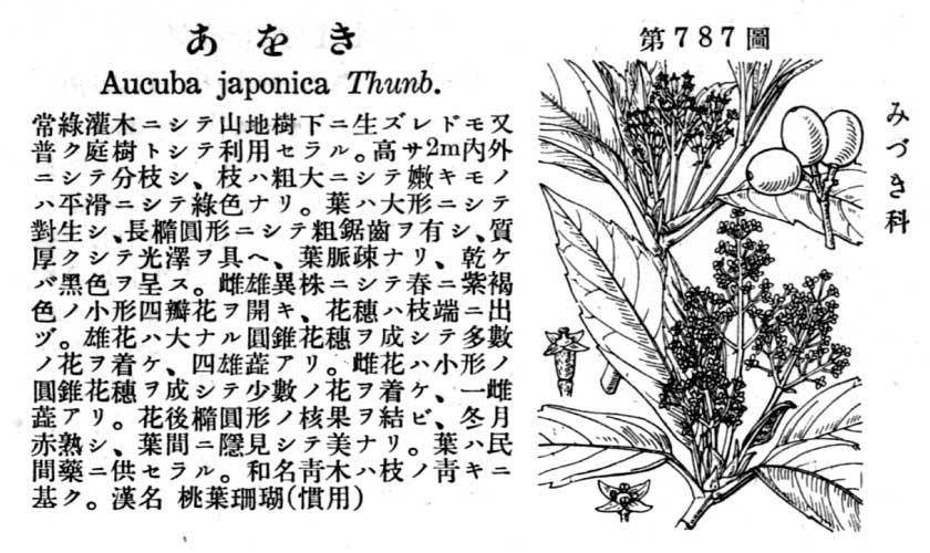 植物図鑑