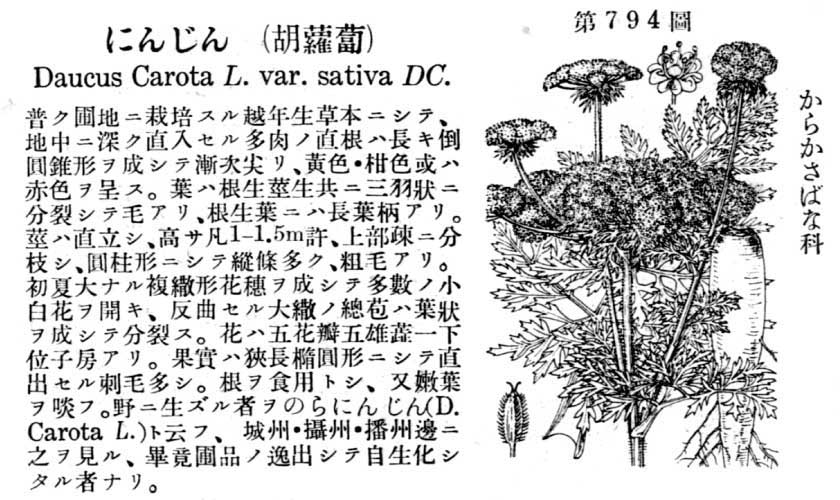 植物図鑑