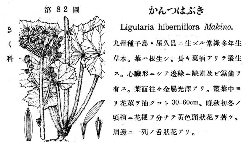 植物図鑑