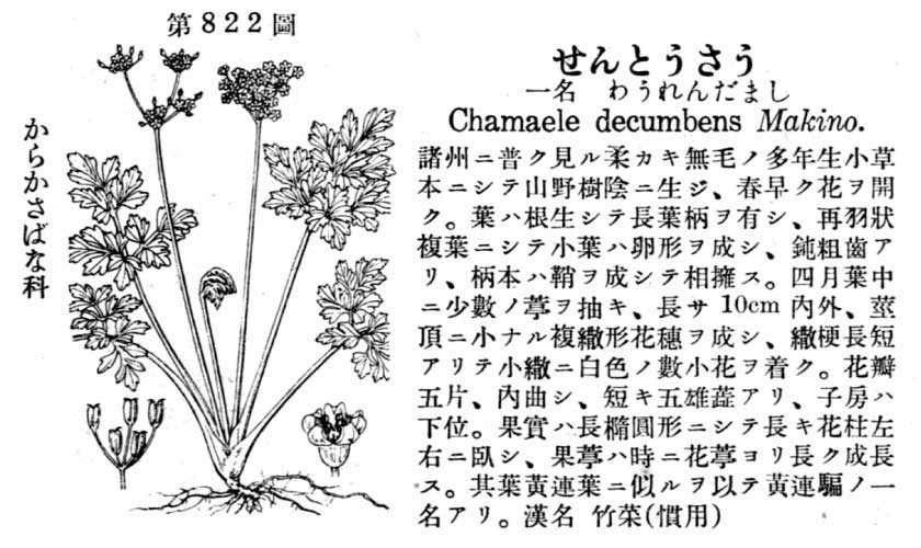 植物図鑑