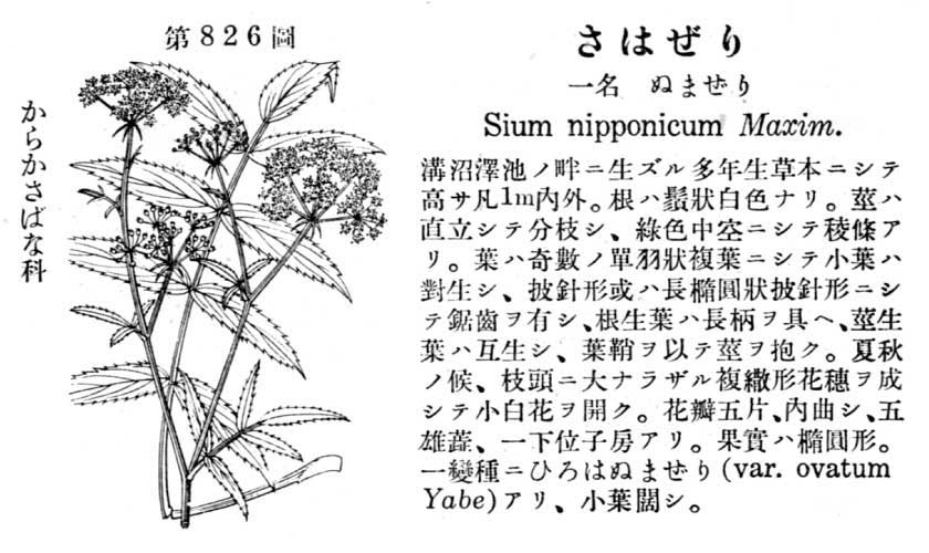 植物図鑑