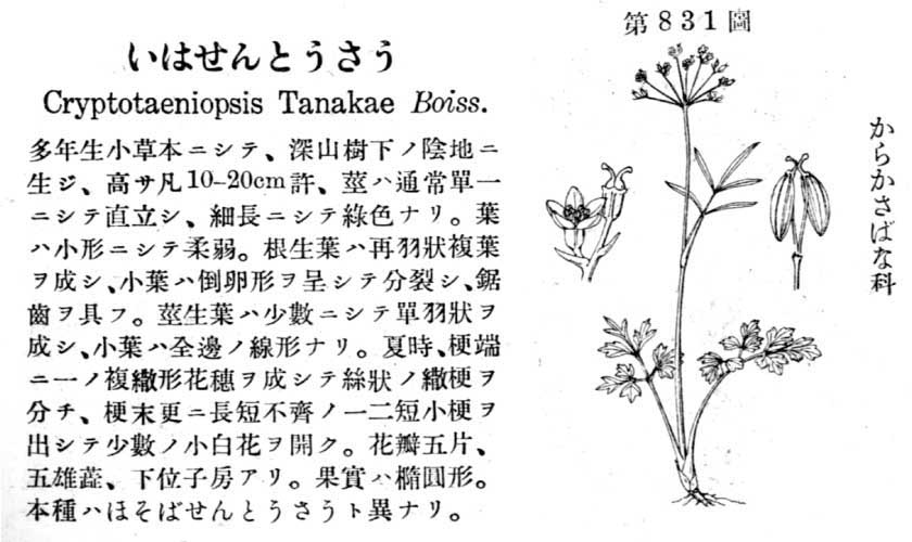 植物図鑑