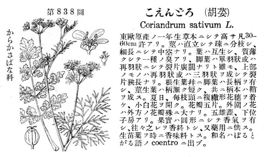 植物図鑑